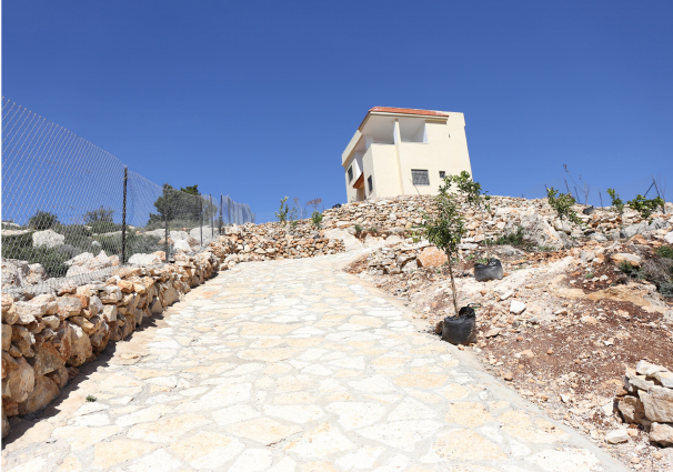 real estate in palestine
