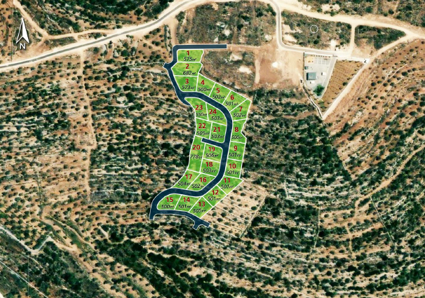 real estate in palestine